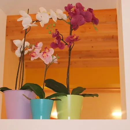La Rosa Dei Venti Appartement Syracuse